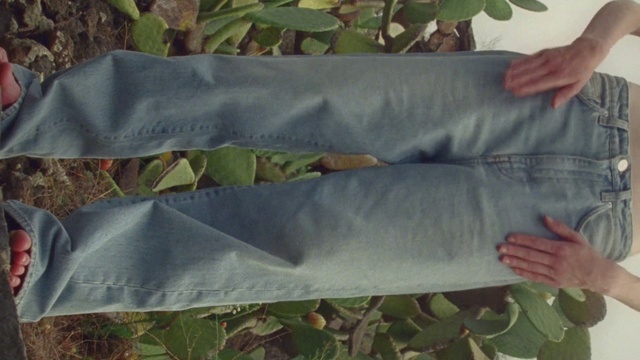 Video Reference N0: Arm, Leaf, Textile, Linens, Trousers, Jeans