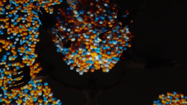Video Reference N2: Macro photography, Art, Fractal art, Nonpareils
