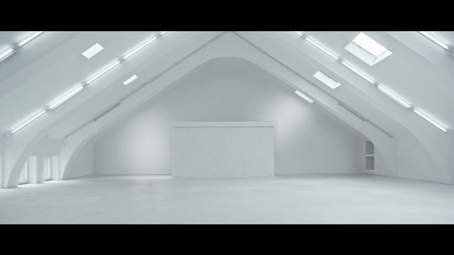 Video Reference N2: Ceiling, Architecture, Lighting, Daylighting, Attic, Room, Floor, Building, Line, Hall