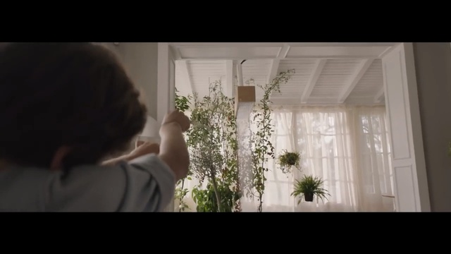 Video Reference N1: White, Photograph, Flower, Plant, Floral design, Sunlight, Dress, Photography, Room, Window
