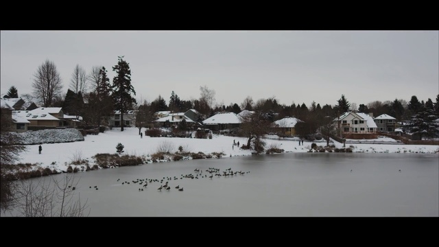 Video Reference N2: snow, winter, water, nature, freezing, tree, sky, reflection, morning, lake