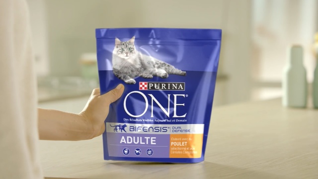 Video Reference N0: Cat, Cat food, Felidae, Kitten, Pet food, Small to medium-sized cats