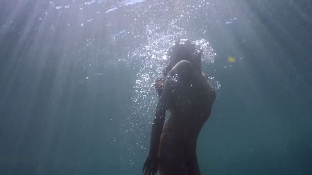 Video Reference N6: Water, Underwater, Sunlight, Organism, Snorkeling, Recreation, Sea, Scuba diving, Photography, Wetsuit, Person