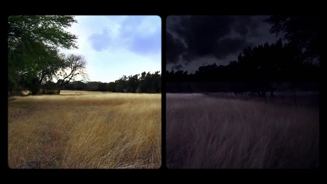 Video Reference N1: Nature, Sky, Photograph, Horizon, Natural environment, Grassland, Tree, Atmosphere, Morning, Wilderness