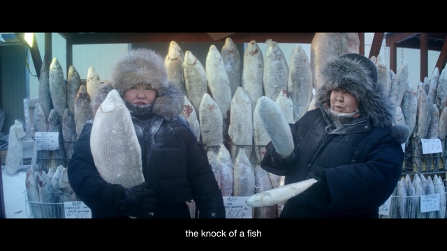Video Reference N2: Snapshot, Fur, Fun, Adaptation, Freezing, Photography, Winter, Photo caption, Fur clothing, World, Person