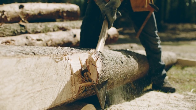 Video Reference N1: Wood, Water, Tree, Wood chopping