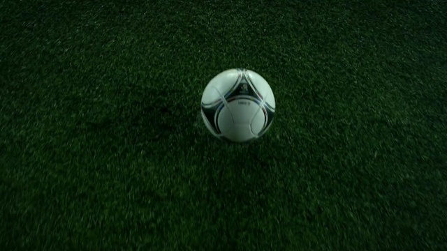 Video Reference N11: green, ball, grass, football, ball, atmosphere, player, plant, sports equipment, lawn