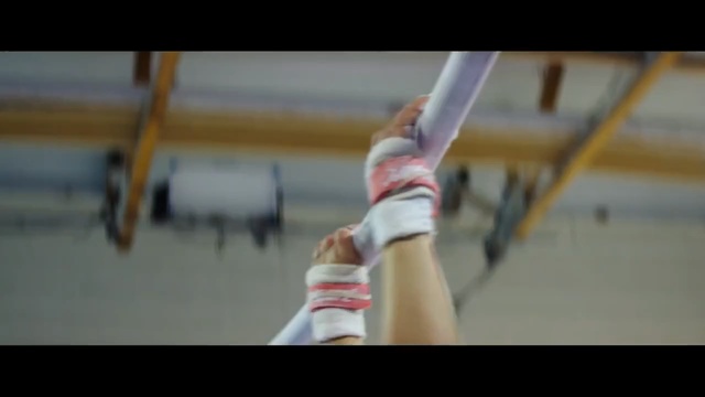 Video Reference N9: Pole vault, Ceiling, Sports
