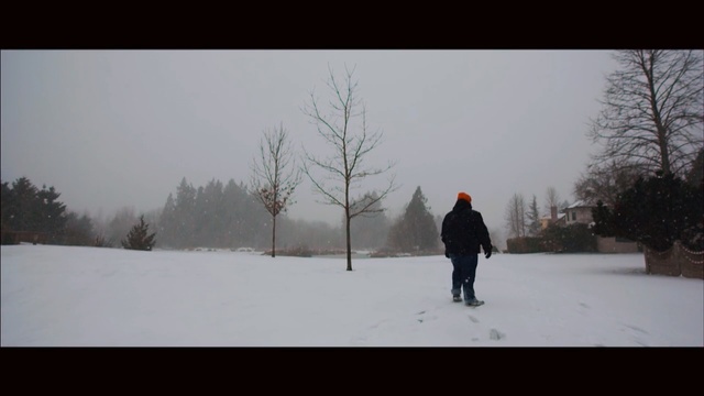 Video Reference N8: snow, winter, freezing, sky, tree, blizzard, winter storm, geological phenomenon, ice, Person