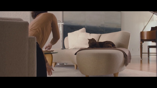 Video Reference N1: Leg, Room, Comfort, Furniture, Cat, Shoulder, Interior design, Table, Couch, Fawn