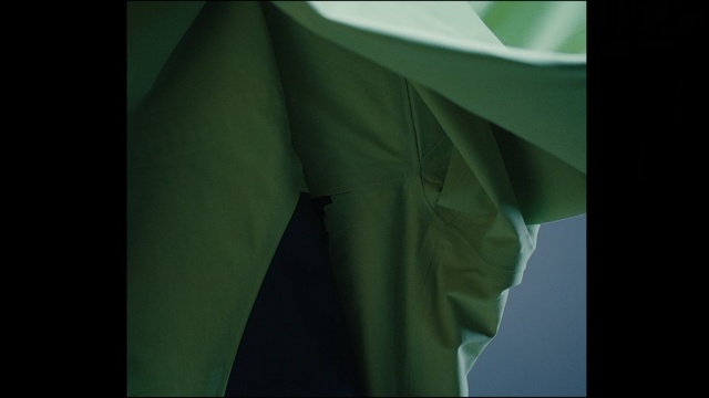 Video Reference N2: Green, Leaf, Textile, Dress, Photography, Formal wear, T-shirt, Macro photography
