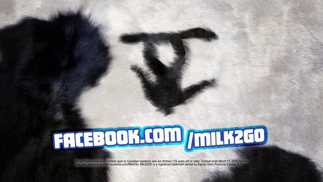 Video Reference N1: Fur, Font, Logo, Photo caption, Graphics