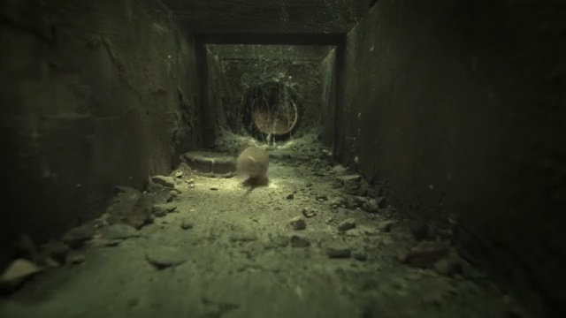 Video Reference N9: tunnel, darkness, atmosphere, caving, bunker, formation, midnight