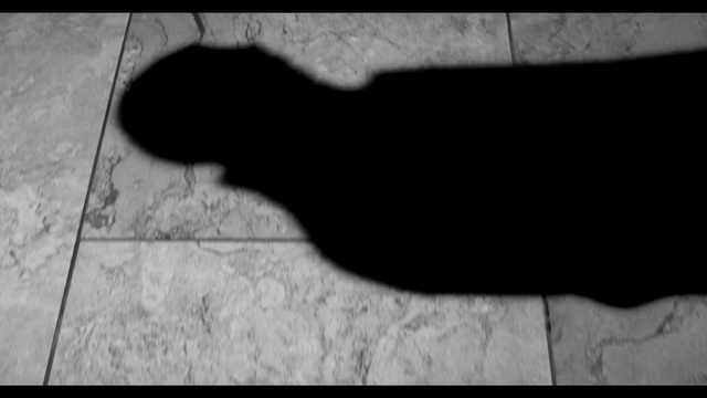 Video Reference N0: white, black, photograph, black and white, shadow, monochrome photography, mammal, black cat, photography, small to medium sized cats