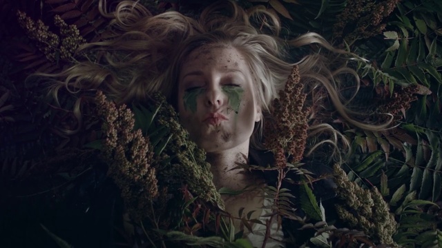 Video Reference N5: Beauty, Cg artwork, Tree, Adaptation, Forest, Mythology, Darkness, Photography, Fictional character, Plant