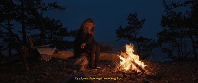 Video Reference N1: campfire, fire, bonfire, wilderness, flame, geological phenomenon, darkness, tree, sky, forest