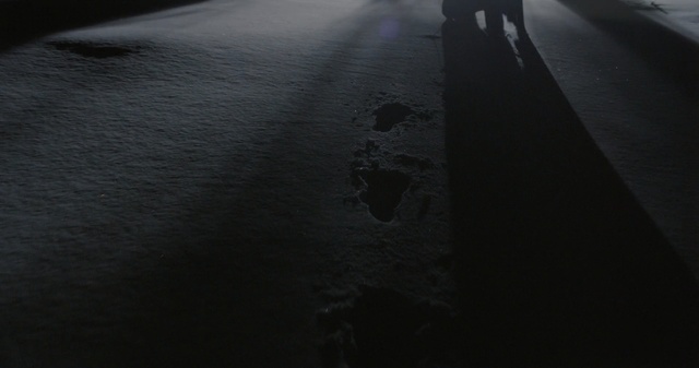 Video Reference N2: Black, White, Darkness, Black-and-white, Sky, Asphalt, Road, Tree, Night, Photography