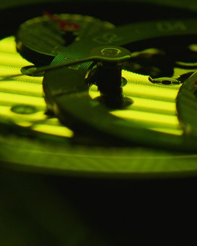 Video Reference N4: Green, Water, Yellow, Leaf, Macro photography, Close-up, Photography, Plant, Flower, water lily