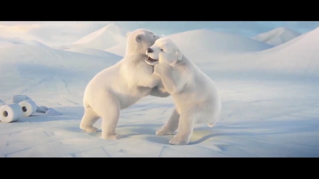 Video Reference N1: Polar bear, Bear, Atmospheric phenomenon, Natural environment, Polar bear, Adaptation, Arctic, Terrestrial animal, Sky, Ice