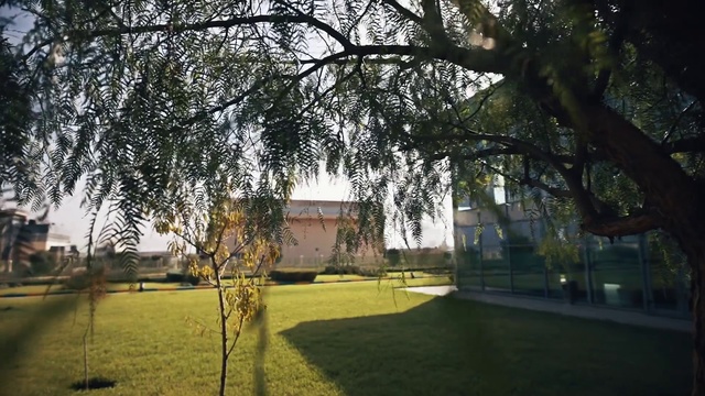 Video Reference N1: Tree, Property, Estate, Architecture, Grass, Morning, House, Woody plant, Sunlight, Lawn, Outdoor, Field, Green, Park, Standing, Grassy, Large, Giraffe, Young, Man, Walking, Red, Street, Water, Tall, Grazing, Sky, Plant, Building, Lush