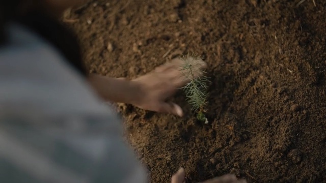 Video Reference N0: Soil, Leg, Hand, Tree, Adaptation, Organism, Plant, Finger, Photography, Foot