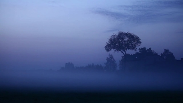 Video Reference N1: fog, mist, atmosphere, sky, tree, dawn, morning, calm, dusk, evening