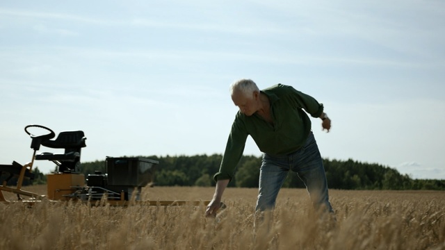 Video Reference N3: Grass, Soil, Farmworker, Field, Crop
