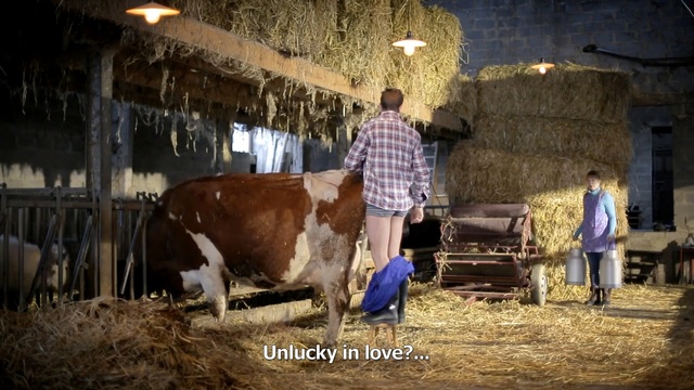 Video Reference N3: Bovine, Dairy cow, Cow-goat family, Stable, Dairy, Livestock