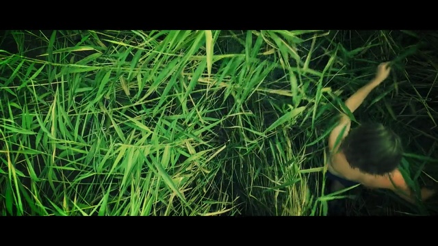 Video Reference N0: Green, Grass, Nature, Plant, Grass, Leaf, Organism, Lawn, Photography, Aquatic plant