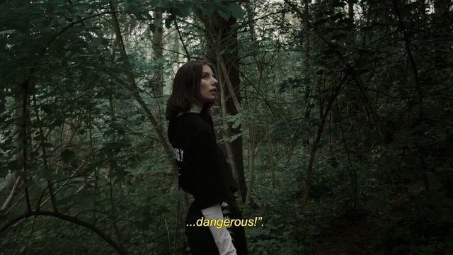 Video Reference N3: nature, tree, forest, woody plant, woodland, darkness, jungle, old growth forest, girl, plant, Person