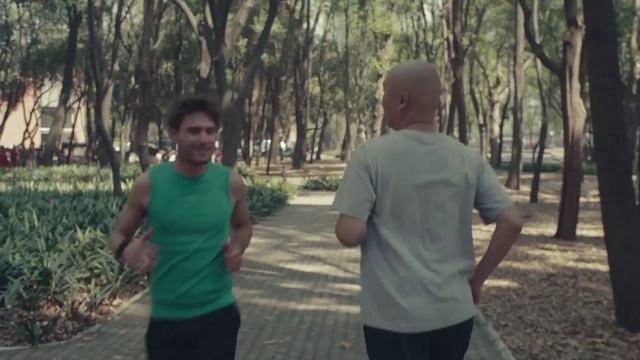 Video Reference N3: Woodland, Forest, Natural environment, Recreation, Jogging, Running, Tree, Walking, Exercise, State park, Person