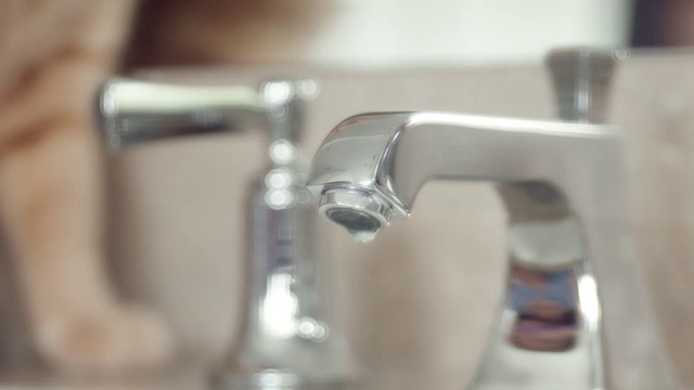 Video Reference N5: Water, Tap, Plumbing fixture, Plumbing, Sink, Fluid, Metal, Person