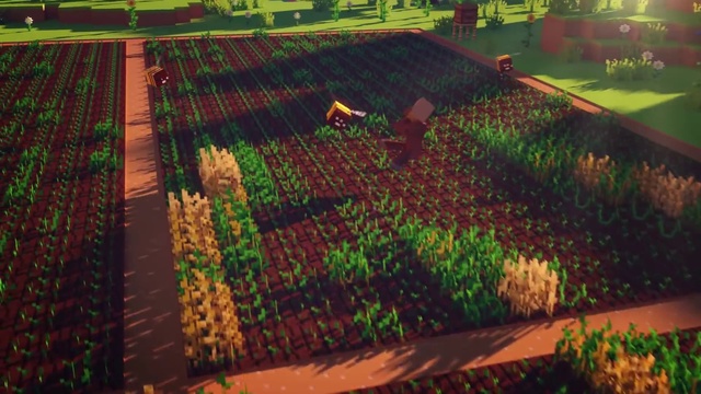 Video Reference N14: Farm, Plantation, Field, Crop, Landscape, Rural area, Screenshot, Plant, Agriculture, Soil