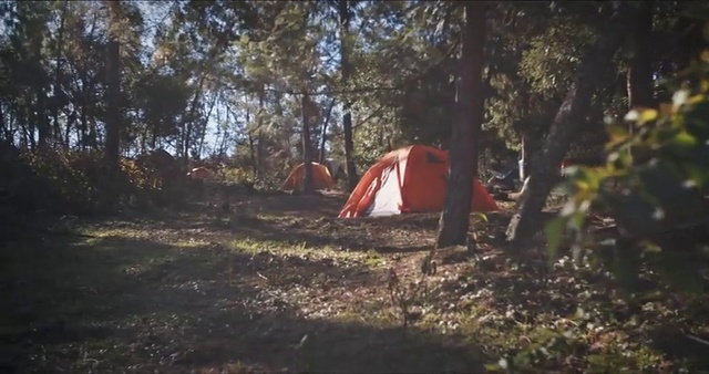 Video Reference N0: Camping, Woodland, Tent, Nature, Leaf, Natural environment, Wilderness, Forest, Nature reserve, Plant community