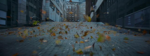 Video Reference N0: Leaf, Urban area, Tree, Alley, Autumn, Street, City, Architecture, Road, Road surface