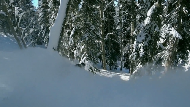 Video Reference N4: Snow, Winter, Tree, Nature, Freezing, Atmospheric phenomenon, Geological phenomenon, Biome, Footwear, Ice