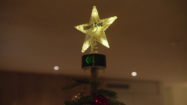Video Reference N0: Tree, Christmas tree, Christmas decoration, Christmas lights, Christmas, Interior design, Christmas ornament, Star, Ornament
