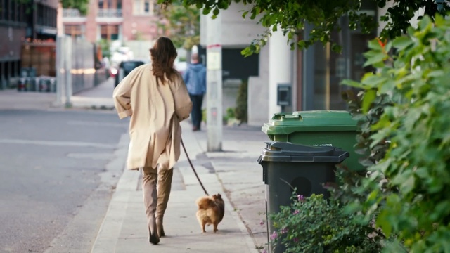 Video Reference N0: snapshot, walking, street, dog walking, road, tree, girl, sidewalk, pedestrian, Person