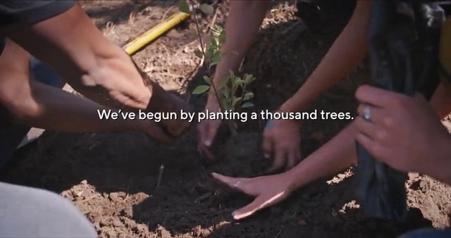 Video Reference N0: Soil, Compost, Adaptation, Sowing, Hand, Plant, Tree