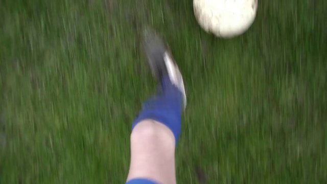 Video Reference N3: Soccer ball, Ball, Grass, Human leg, Grass, Lawn, Leg, Sports equipment, Plant, Football