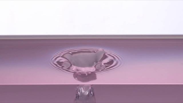 Video Reference N2: Violet, Purple, Water, Glass, Drinkware, Transparent material, Tableware, Bowl, Liquid, Still life photography