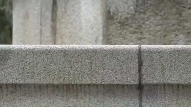 Video Reference N3: wall, material, wood, line, grass, concrete, fence, stone wall, granite, angle, Person
