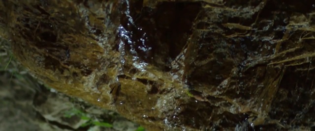 Video Reference N1: rock, water, formation, geology, tree, outcrop, mineral