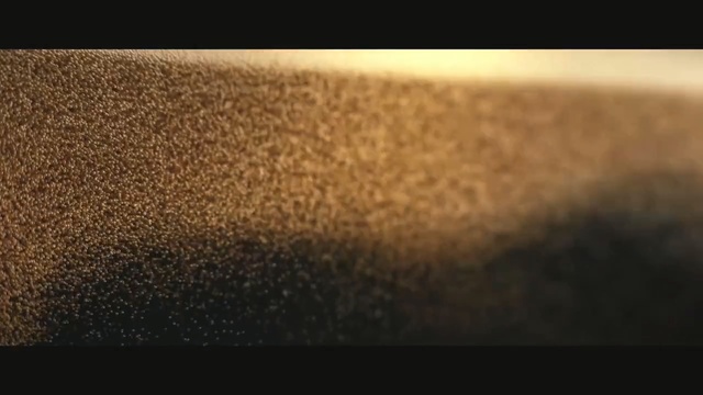 Video Reference N5: Black, Brown, Text, Sky, Yellow, Morning, Close-up, Atmosphere, Sunlight, Font