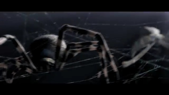 Video Reference N3: black, darkness, invertebrate, arachnid, mode of transport, atmosphere, spider web, spider, windshield, sky