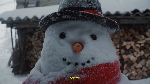 Video Reference N5: snowman, snow, winter, freezing, snout