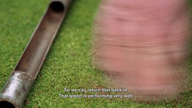Video Reference N5: Grass, Lawn, Hand, Wood, Plant