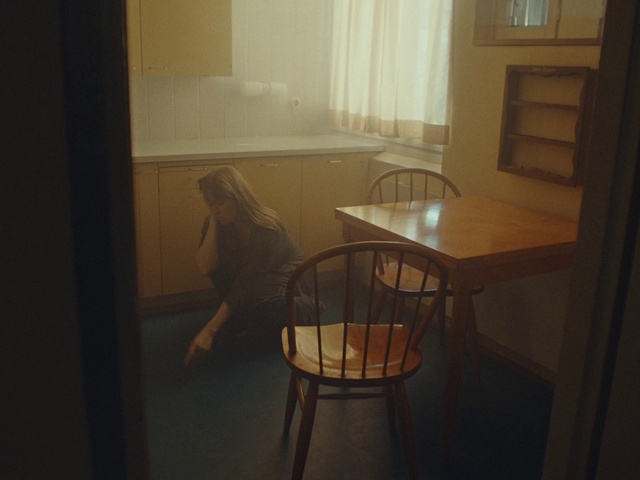 Video Reference N3: Room, Light, Floor, Furniture, Chair, Table, Wood, Hardwood, Flooring, House