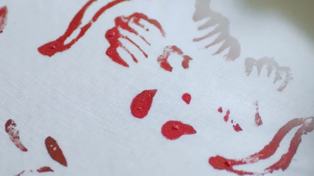 Video Reference N0: red, white, blood, close up, art, font, drawing