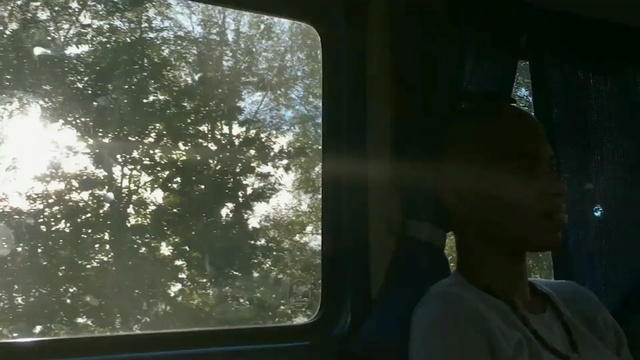 Video Reference N2: Tree, Window, Windshield, Glass, Sunlight, Auto part, Rear-view mirror, Automotive mirror, Automotive window part, Reflection